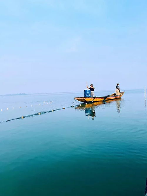 快來(lái)柳湖魚市年魚集吧